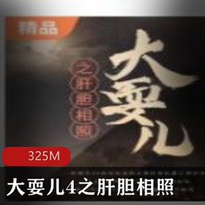 大耍儿4（肝胆相照）有声小说