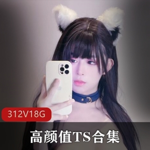 高颜值TS合集312v–18.4G，露脸OnlyFans推特TS主播